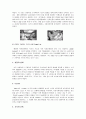 Team 10에 대한 이해 (A+ 레포트) 2페이지