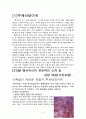 폐광지역도시계획사례-독일 엠셔파크, 강원도정선군 강원랜드 2페이지