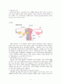 자궁근종 2페이지