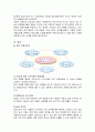 진로 그룹의 해외 진출 사례 (A+레포트) 24페이지
