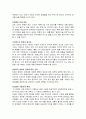 진로 그룹의 해외 진출 사례 (A+레포트) 30페이지