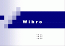 와이브로(wibro)와 와이파이(wi-fi) 비교 1페이지