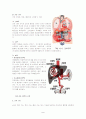 간의 구조와 기능 2페이지