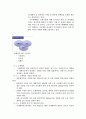 [컨벤션산업]국내외컨벤션산업에대한연구 3페이지