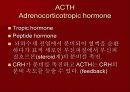 호르몬의 작용 기전에 관한 팀프로젝트~파워포인트[A+받는 특급 자료] 10페이지