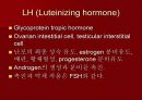 호르몬의 작용 기전에 관한 팀프로젝트~파워포인트[A+받는 특급 자료] 23페이지