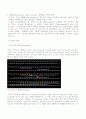 PCR,  RT-PCR, Northern Blot, Western blot 에 관한 레포트~ 최고입니다 2페이지