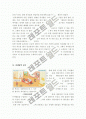 싸이월드 열풍에 대하여 6페이지