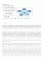 스포츠 에이전트 7페이지