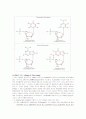 Stability of DNA and RNA 2페이지
