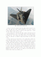 스텔스(Stealth)  항공기 기술 12페이지