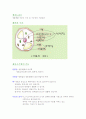 식물세포와 동물세포의 비교 (구분, 기능, 차이점) 2페이지