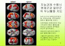 뇌기능영상측정법(FMRI)을 이용한 영재성 평가의 타당성 연구 논문 요약본 13페이지