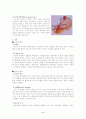 위암 문헌고찰(Stomach cancer) 4페이지