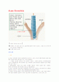 급성기관지염(Acute Bronchitis) 2페이지
