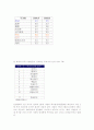 인도와 중국의 IT산업 3페이지