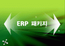 ERP 패키지 2페이지