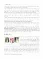 우리나라 폐렴의 실태 및 예방 2페이지