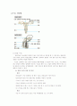피임에 관한 리포트(피임 방법을 중심으로) 7페이지