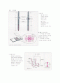 cell counting 2페이지