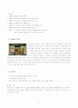 [마케팅] 더 바디샵의 경영실태와 문제점 및 2의 전성기를 위한 마케팅 전략 제언 (SWOT, 4P, STP, 모두 포함) 4페이지