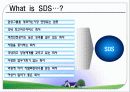 삼성 SDS의 HRM 분석 사례와 문제점 및 개선방안 제언과 평가 3페이지
