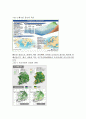 환경과학 지구온난화 현상 , 문제 및 대책 15페이지