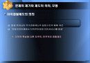 한국적 자치경찰제도의 성공적인 정착을 위한 고찰 4페이지