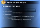 한국적 자치경찰제도의 성공적인 정착을 위한 고찰 5페이지