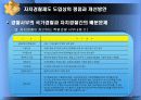 한국적 자치경찰제도의 성공적인 정착을 위한 고찰 17페이지