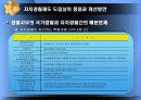 한국적 자치경찰제도의 성공적인 정착을 위한 고찰 18페이지