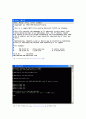 Whois & DNS 2페이지