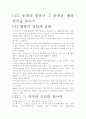 [우수 평가 자료]UCC 문화의 열풍과 그 문제점, 해결방안을 찾아서 2페이지