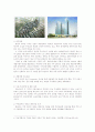 서울 뉴 타운사업 평가 11페이지