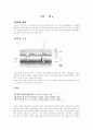 피부에대하여 2페이지