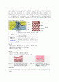 피부에대하여 4페이지