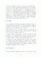 유럽배낭여행 계획서! 40페이지