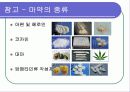 마약범죄의 원인및 현황 문제점과 해결방안 분석 6페이지