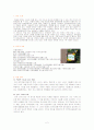 민들레영토의 역사, 특징, 차별화 전략 및 개선점에 관한 조사 2페이지