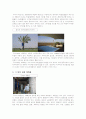 여행상품 분석 - 아랍 에미레이트 연합 (UAE) 4페이지