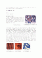 화상 환자 사례 연구 보고서 2페이지