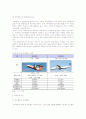 [시장조사론]국내 저가항공 산업분석 및 향후전망 (A+리포트) 2페이지