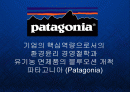 파타고니아 Patagonia - 유기농 면제품의 블루오션 개척과 기업의 핵심역량으로서의 환경철학  1페이지