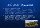 파타고니아 Patagonia - 유기농 면제품의 블루오션 개척과 기업의 핵심역량으로서의 환경철학  3페이지