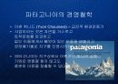 파타고니아 Patagonia - 유기농 면제품의 블루오션 개척과 기업의 핵심역량으로서의 환경철학  22페이지