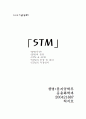 STM의 모든것 1페이지