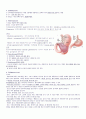 위암(Gastric cancer-AGC,EGC) 2페이지