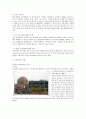 님비현상(NIMBY)과 핌피현상(PIMFY),대형 환경 오염사건 2페이지
