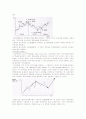 기본적 분석과 기술적분석 16페이지