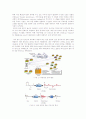 802.16e표준을 기반으로 한 와이브로 기술 2페이지